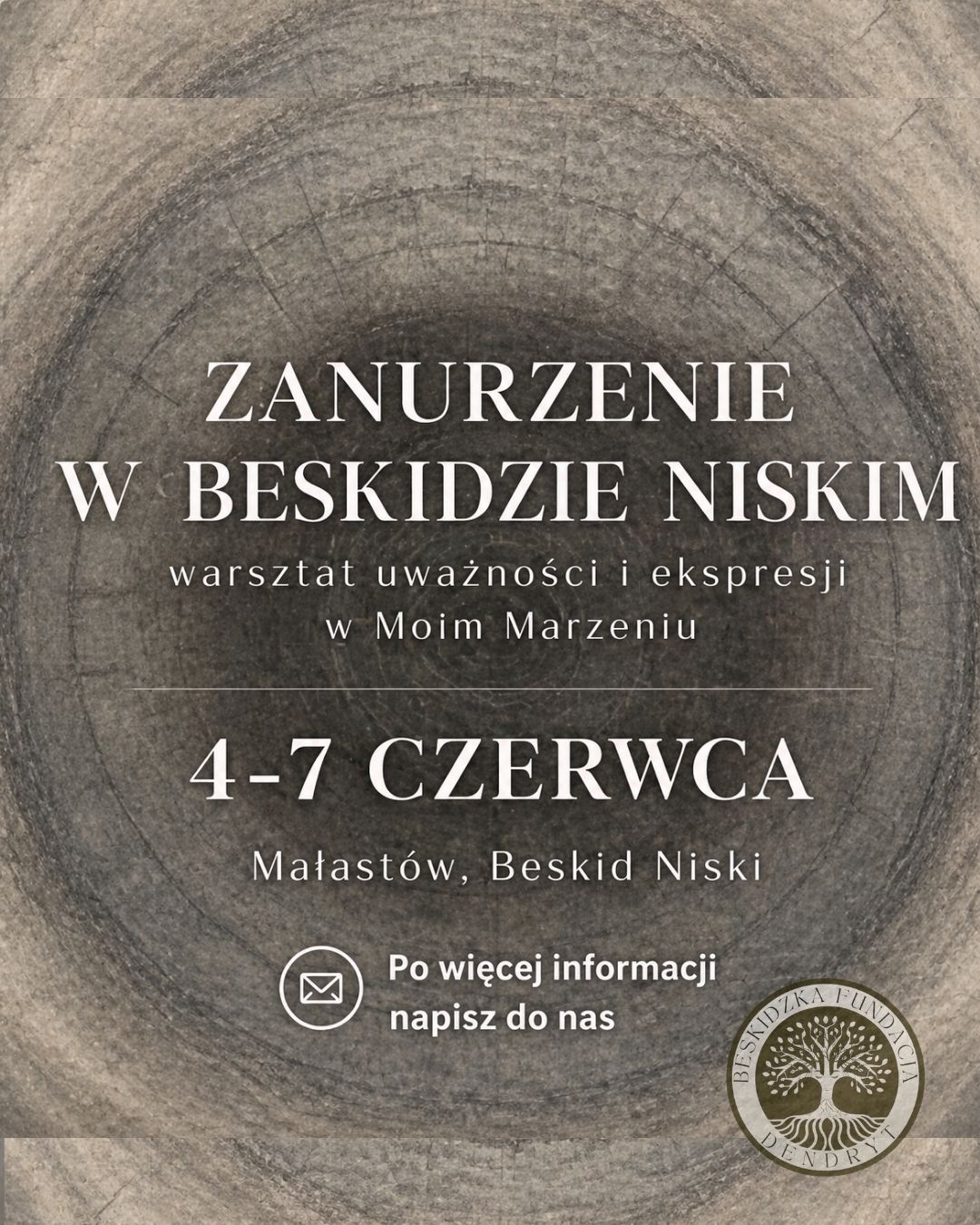 Insta zanurzenie